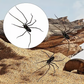 💥 Met 50% korting! 🔥 Spinnenmagneten set – gedetailleerd, levensecht, sterke magneet, duurzaam, veelzijdig voor koelkast/garage/auto, praktisch voor notities, grappig cadeau 🕷️🧲