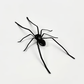 💥 Met 50% korting! 🔥 Spinnenmagneten set – gedetailleerd, levensecht, sterke magneet, duurzaam, veelzijdig voor koelkast/garage/auto, praktisch voor notities, grappig cadeau 🕷️🧲
