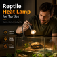 ⏳ FLASH SALE! ✨ Reptiel Zonnelamphouder | Simuleert Zonlicht ☀️ | Bevordert Calciumopname | HALF PRICE 🎉