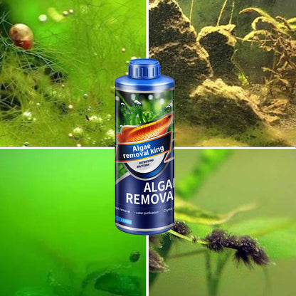 🔥Hot Sale🔥(54% korting)Crazy Aquatic Weed Algae Remover voor Algae King