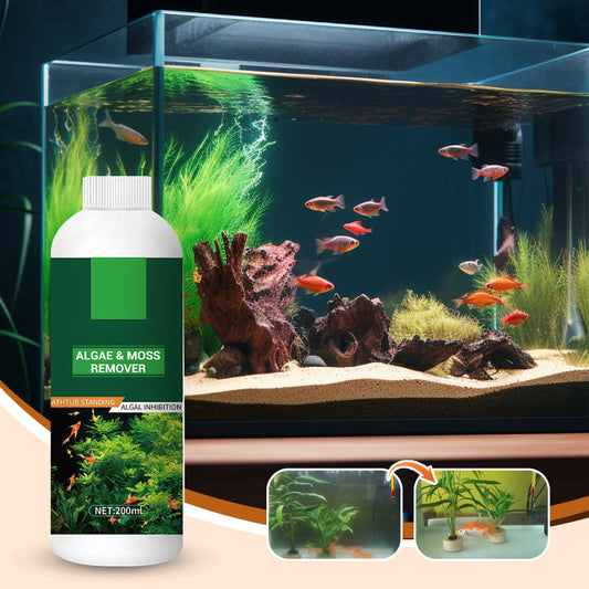 🎉Koop meer, bespaar meer💥 Algen- en mosverwijderaar voor aquarium - Veilige waterzuivering