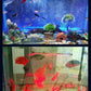 💕💕LED Aquarium Kleurrijke Luchtbelverlichting