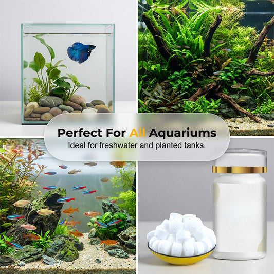 🎁 HETE AANBIEDING 2026! 🎁 Aquarium – Verwijdert groen water en mos – effectief en zacht! 🌿💧