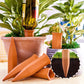 Keramische Automatische Planten Watergever | 4-Pack | 5-7 Dagen Zelfwatergeving