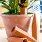 Keramische Automatische Planten Watergever | 4-Pack | 5-7 Dagen Zelfwatergeving