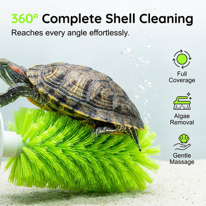 360° Turtle Back Brush