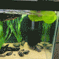 360° Turtle Back Brush