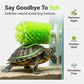 360° Turtle Back Brush