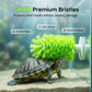 360° Turtle Back Brush
