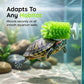 360° Turtle Back Brush