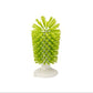 360° Turtle Back Brush