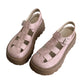 💃👡 Tijdelijke Actie: Stoere Zomer Sandalen met Dikke Zool | Ergonomisch🌟