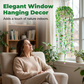 ✨🏡【Magie voor Thuis】🌈Praline Plant Sun Catcher | Voor Licht & Kleur✨