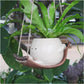 🔥KOOP ER 2 EN KRIJG 10% KORTING💝Bloempot met smiley