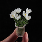 ⏳ FLASH SALE! ✨ Mini Glasboeket | Elegant Cadeau 🎀 | Hoogte ca. 6cm | HALF PRICE 🎉