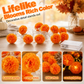 💥 50% korting! 🎃 Goudsbloem LED-snoerlampjes – realistische stoffen bloemen, warme oranje gloed. Lengte 1,5m tot 4,5m. Batterij, USB of afstandsbediening. Perfect voor Halloween 🌼