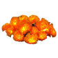 💥 50% korting! 🎃 Goudsbloem LED-snoerlampjes – realistische stoffen bloemen, warme oranje gloed. Lengte 1,5m tot 4,5m. Batterij, USB of afstandsbediening. Perfect voor Halloween 🌼