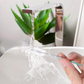💥【50% OFF】🔥 Flexibele Buisborstel voor Zonnedakafvoer | Staaldraad + PVC | 2/3/5 Meter | Roteerbare Nylonborstels, Krast Niet | Handring Voorkomt Vastlopen | Voor Zonnedak/Ruitenwisser/Brandstoftank/Koelkast/Aquarium | Multifunctioneel 🚗