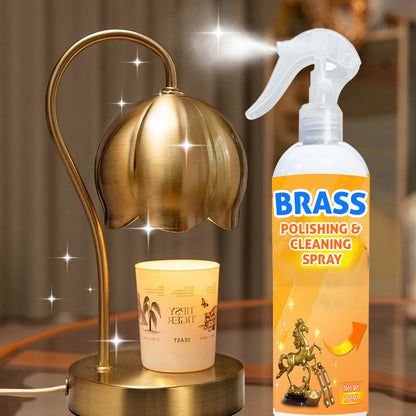 💥【50% OFF】🔥 Messing Reinigings- & Polijstspray | Biologische Formule, Verwijdert Oxidatie | Veilig Voor Oppervlak, Geen Krassen | Onbrandbaar, Veilig Binnenshuis | Voor Messing/Koper/Brons/RVS | 180ml | Spray-Wacht-Veeg | Vazen/Kranen/Beslag Als Nieuw ✨