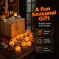 🎃💥 Met 50% korting! 🔥 Pompoenvormige lichtslinger – warm oranje, 10 LED's, stoffen kap, 1,5 m, batterijvoeding (2xAA, niet inbegrepen), lichtgewicht, makkelijk te stylen, perfect voor Halloween-decoratie 🎃