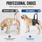 🚀 Nieuw + 50% korting! 🎀 Revalidatieharnas voor honden – extra ondersteuning bij zwakte in achterpoten. Innovatief ontwerp laat hond vrij bewegen. Eenvoudig aan te trekken en verstelbaar. Bestel nu voor je trouwe viervoeter ⏳